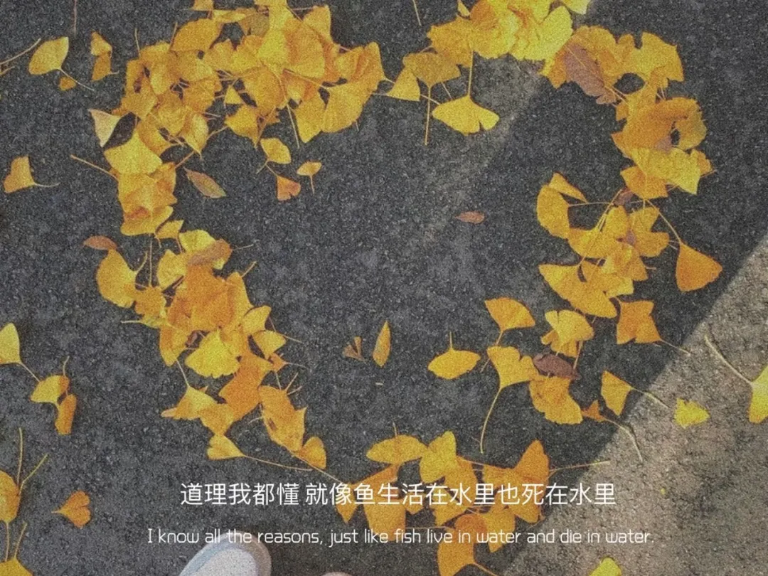 640.webp
