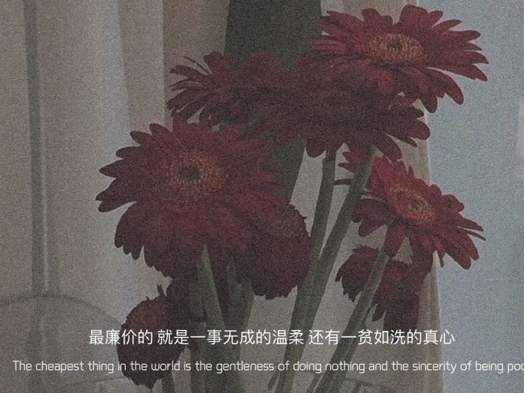 640.webp