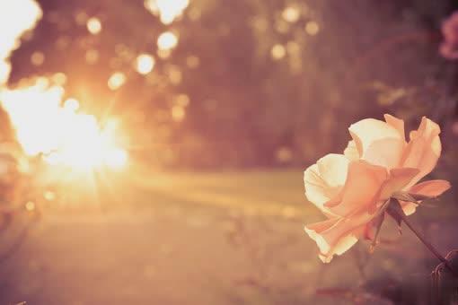 我不哭不闹,并不代表我不痛,是因为我真的爱你2